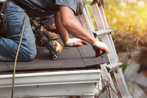 Best Roof Gutter Cleaning  in Kensington, NY